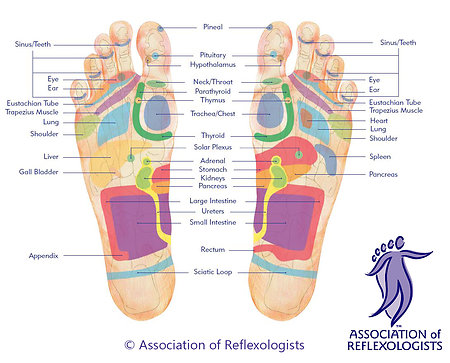 What is Reflexology. Footmap plantar